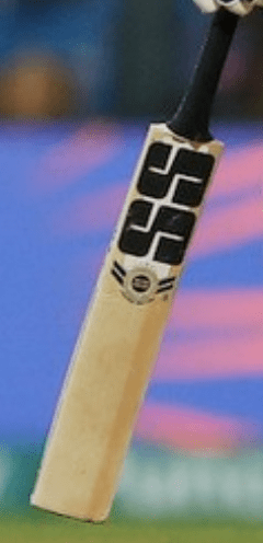 How Much Players Take For Branding on their Bat